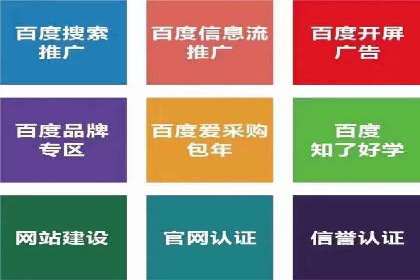 竞价推广代运营成功案例分析